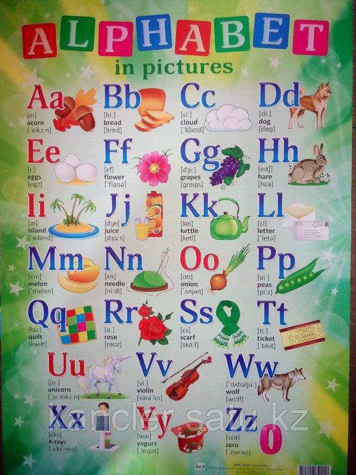 Плакат Alphabet in pictures А2, мелованная бумага