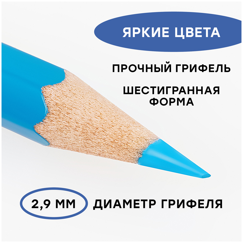 Карандаши акварельные Гамма "Лицей", 36цв., шестигранные, заточен., с кистью, картон. упак., европод