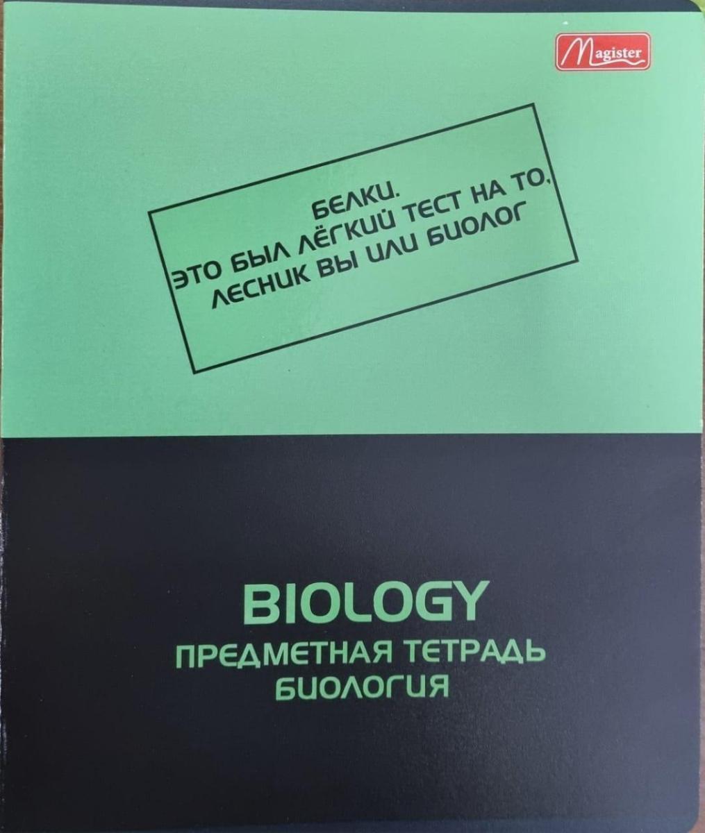 Набор предметных тетрадей 48л. рус.яз. Magister Тенгиз, твин-лак