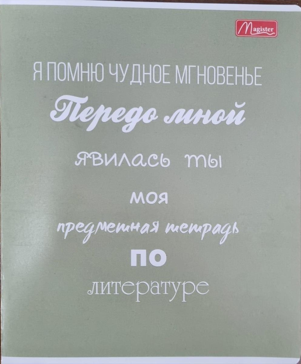 Набор предметных тетрадей 36л. рус.яз. Magister Тенгиз, выборочный лак