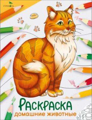 Раскраска (Стрекоза) ОкружМир Ассорти