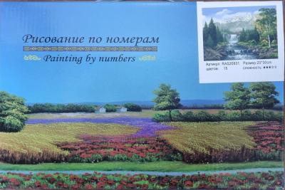 Рисование по номерам 30*20см ассорти