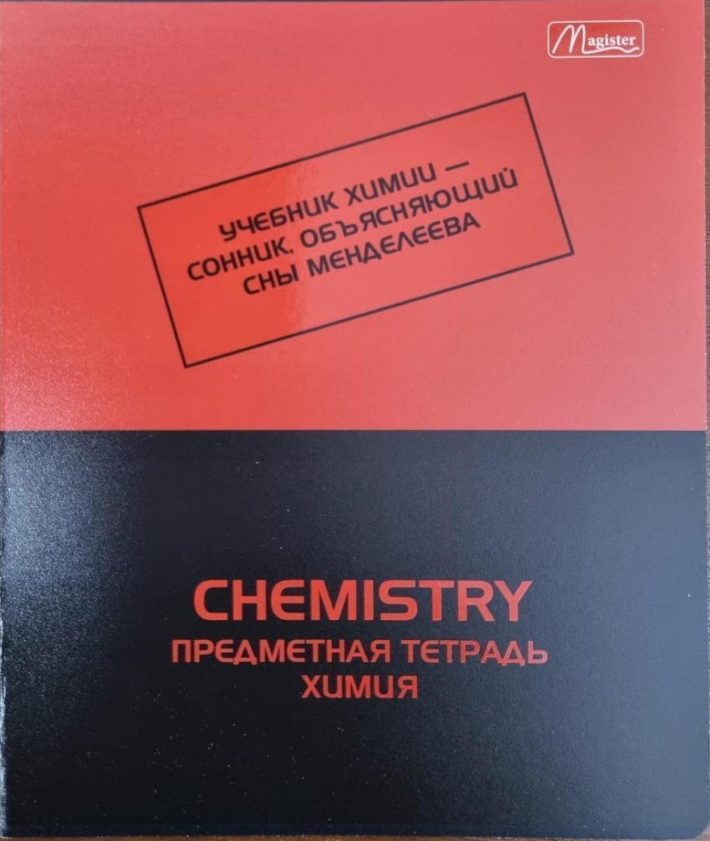 Набор предметных тетрадей 48л. рус.яз. Magister Тенгиз, твин-лак