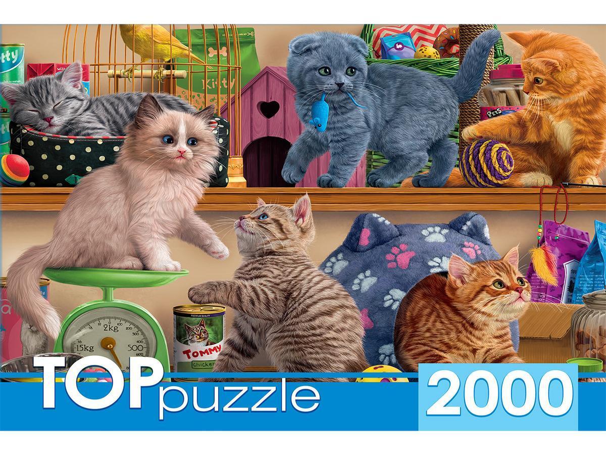 Puz 2000д. Toppuzzle 1596 Смешные котята в зоомагазине