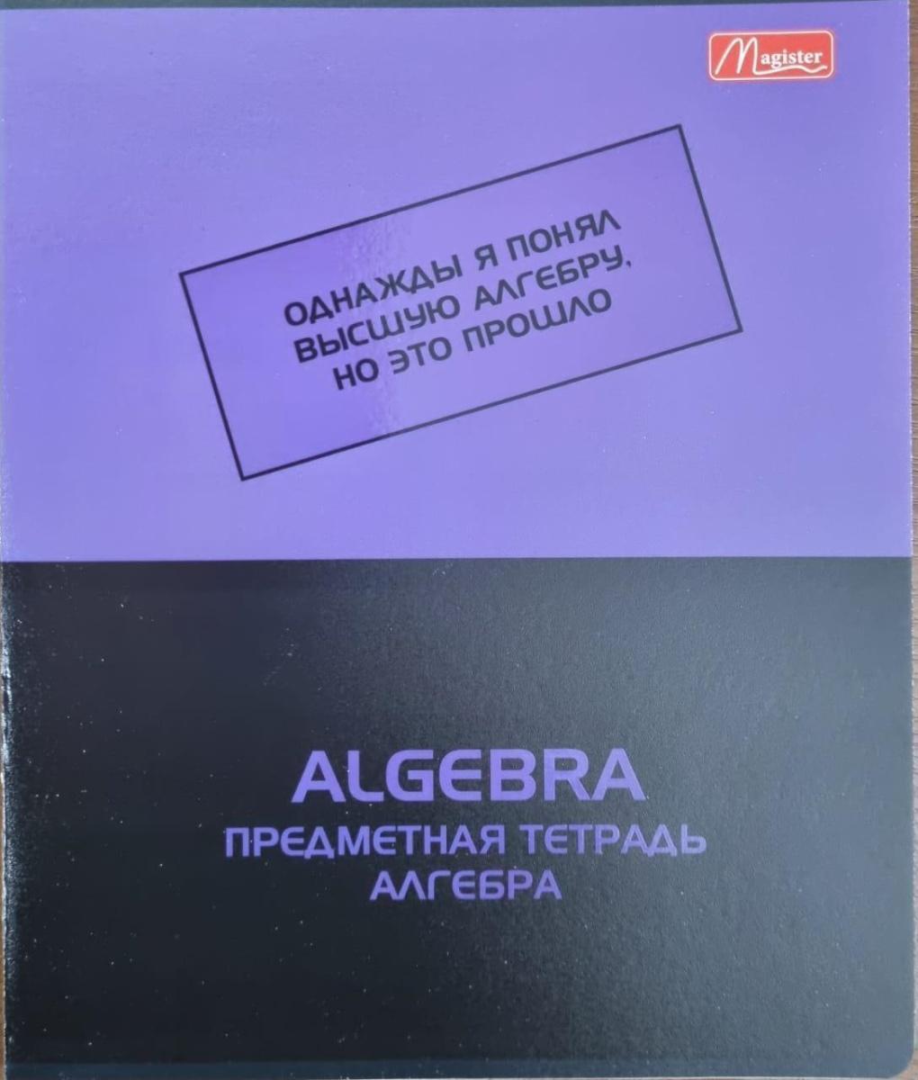 Набор предметных тетрадей 48л. рус.яз. Magister Тенгиз, твин-лак