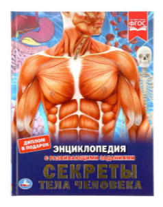ЭнцСРазвивЗаданиями(Умка)(тв)(б/ф) Секреты тела человека (Волцит П.М.) [диплом в подарок]