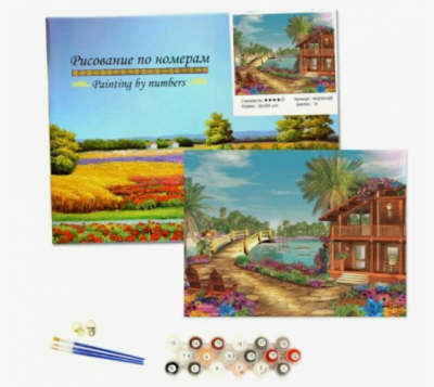 Рисование по номерам 30*40см ассорти