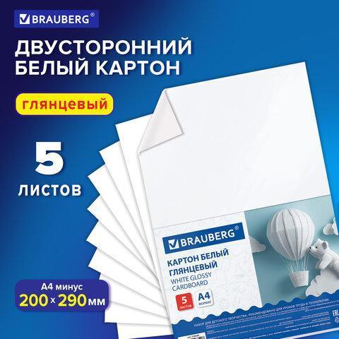 Картон белый А4 МЕЛОВАННЫЙ (белый оборот) 5 листов, BRAUBERG, 200х290 мм, 116626 Картон белый А4 МЕЛОВАННЫЙ (белый оборот) 5 листов, BRAUBERG, 200х290 мм, 116626