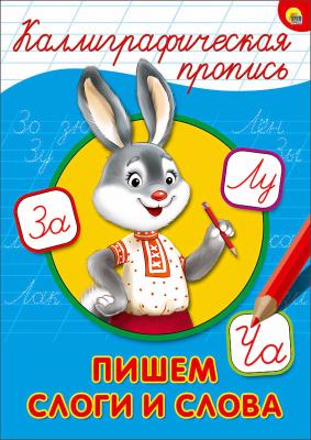 КаллиграфическаяПропись(ПрофПр) А4 Ассорти6