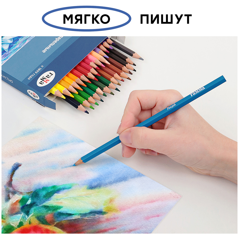 Карандаши акварельные Гамма "Лицей", 36цв., шестигранные, заточен., с кистью, картон. упак., европод