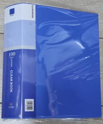 Папка А4 с 100 файлами Clear Book Erzat ассорти