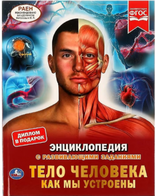 ЭнцСРазвивЗаданиями(Умка)(тв)(б/ф) Тело человека Как мы устроены (Рыклин М.А.) [диплом в подарок]