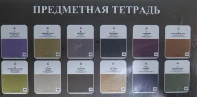 Набор предметных тетрадей 12шт, 48листов, Almas №271-83-E-48
