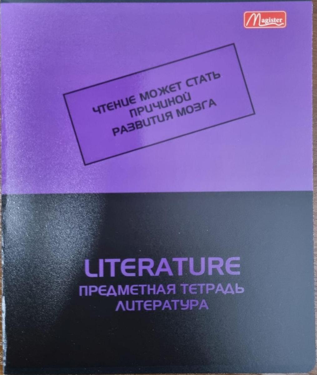 Набор предметных тетрадей 48л. рус.яз. Magister Тенгиз, твин-лак