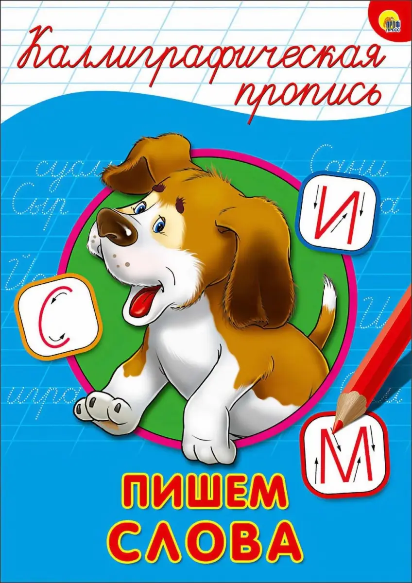 КаллиграфическаяПропись(ПрофПр) А4 Ассорти4