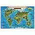 Карта мира для детей "Животный и растительный мир Земли" Globen, 1010*690мм, интерактивная, с ламина