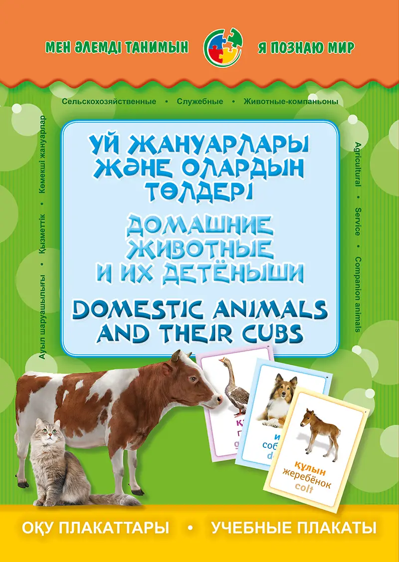 Үй жануарлары және олардың төлдері. Домашние животные и их детёныши. Domestic animals аnd their cubs