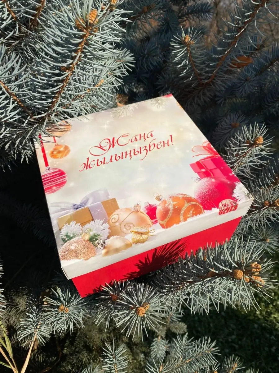 Коробка подарочная Жана Жылынызбен, 25*25*10 см 