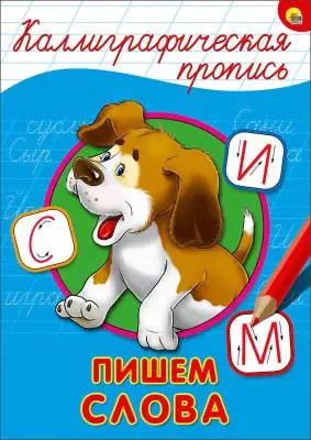 КаллиграфическаяПропись(ПрофПр) А4 Ассорти4