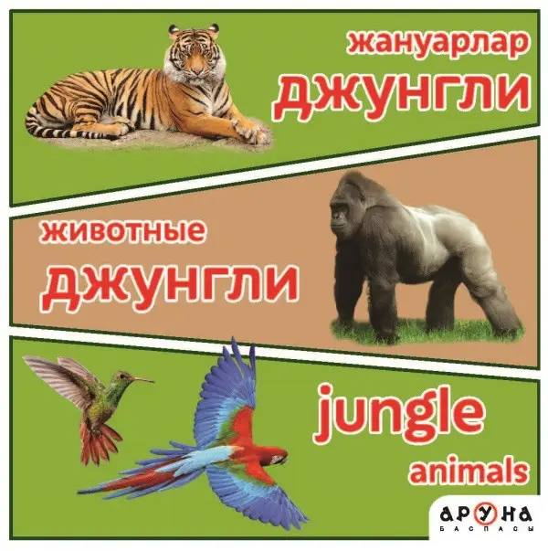 Жануарлар Джунгли/Животные Джунгли