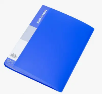 Папка А4 с  40 прозрачными файлами ClearBook Китай ассорти