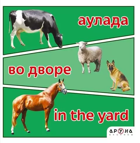 АрунаСерия:Тематические книжки Аулада. Во дворе. Yard.на 3 языках 135 x135,14стр