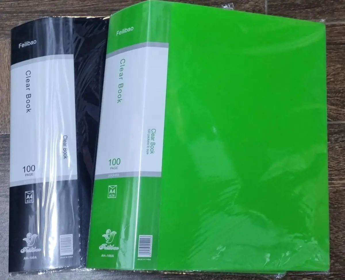 Папка А4 с 100 файлами Clear Book Feilibao Китай ассорти